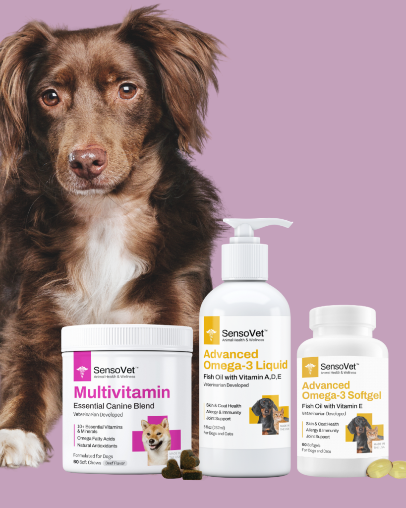 A brown dog with SensoVet dog supplements next to him